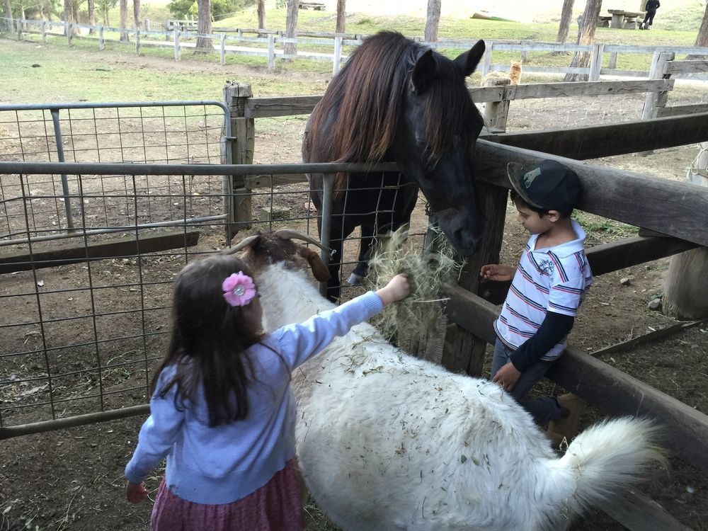 Hidden Haven Barrington Tops Cobark 外观 照片